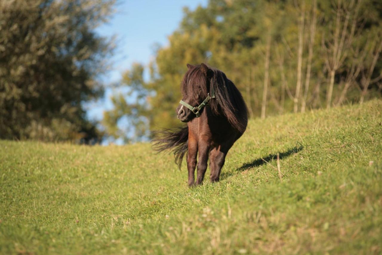 Ferienhof Muehlthal Edling ภายนอก รูปภาพ